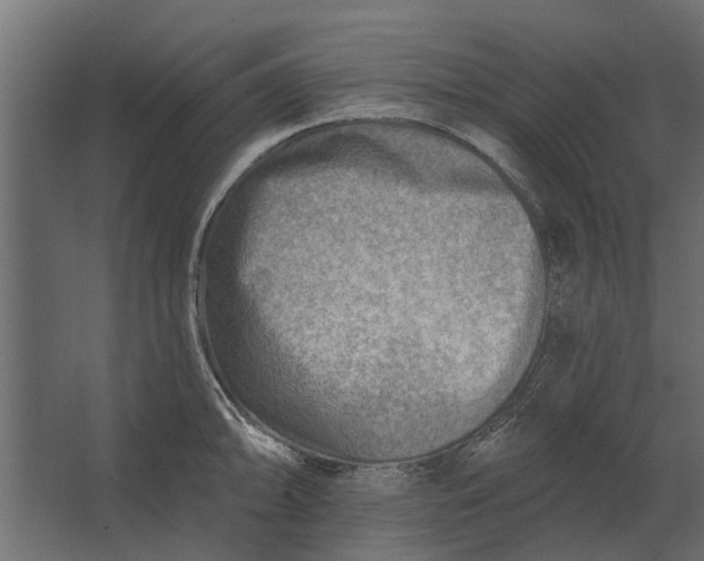 X0000067511094200604211744