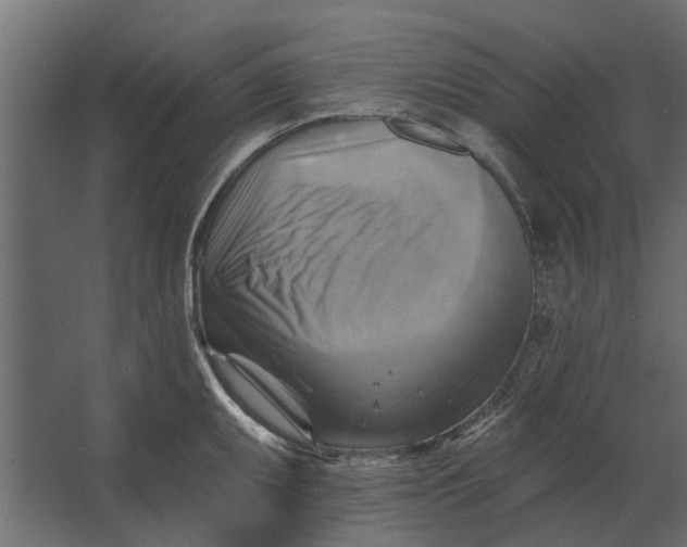 X0000067511095200604211744