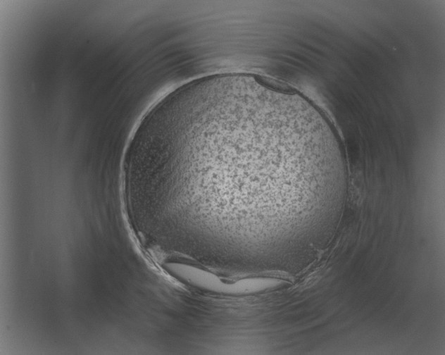 X0000067511096200604211744