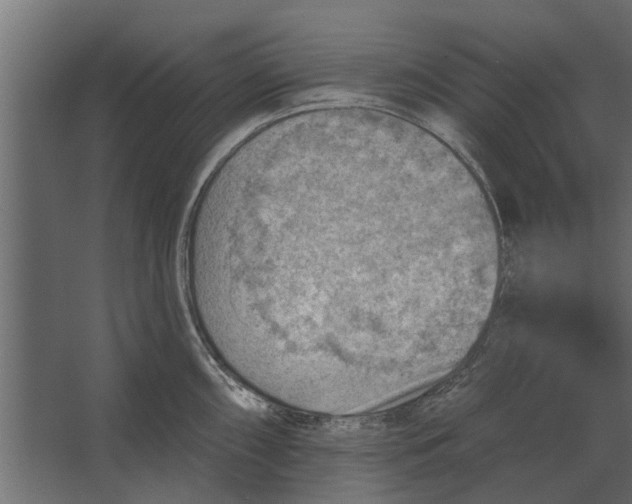 X0000067511098200604211744