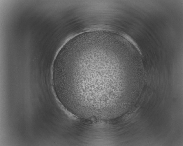 X0000067511099200604211744