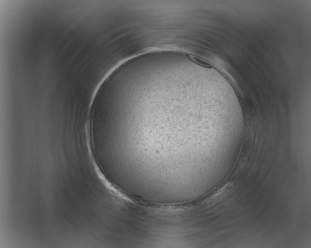 X0000067511100200604211744