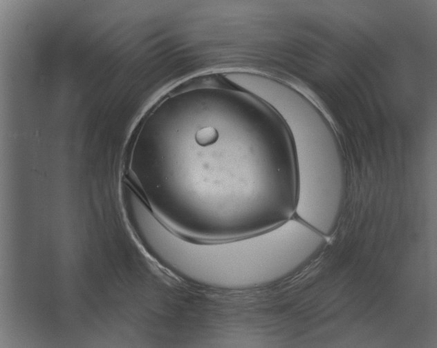 X0000067511101200604211744