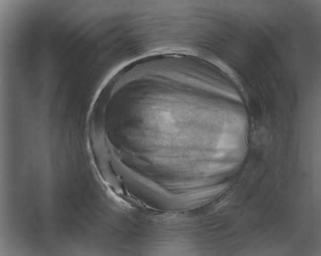 X0000067511102200604211744