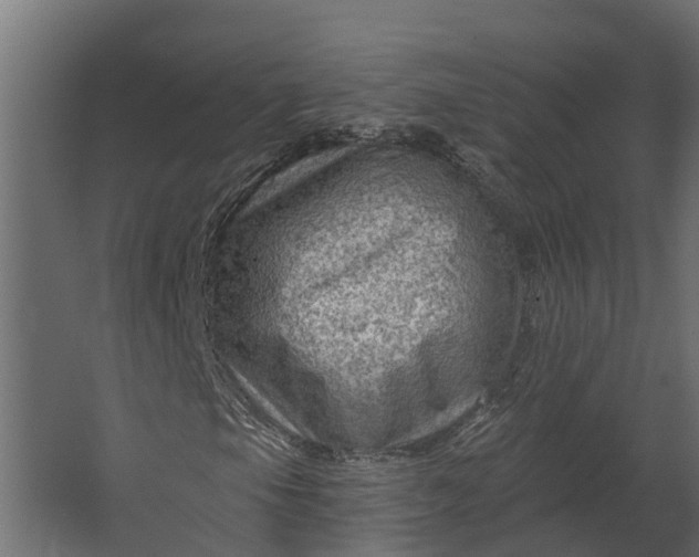 X0000067511105200604211743