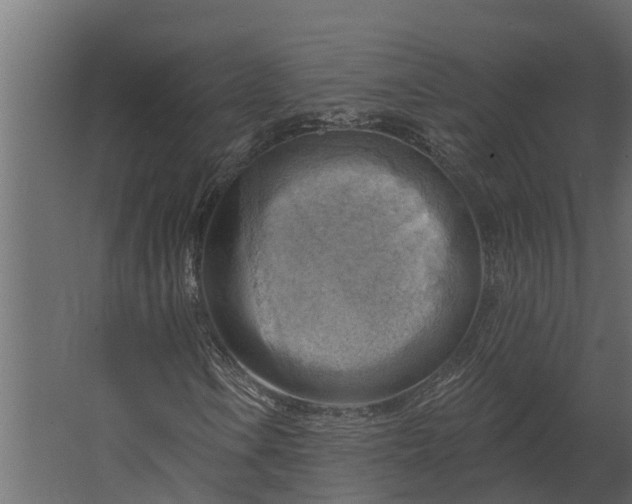 X0000067511106200604211743