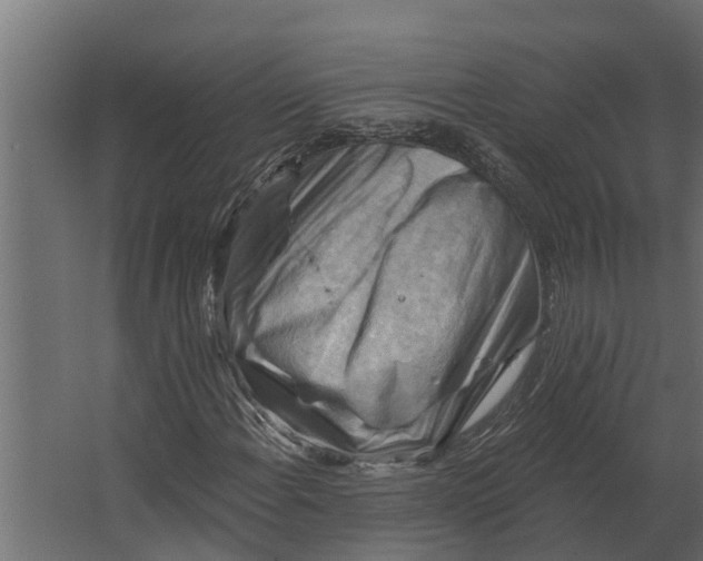 X0000067511108200604211743