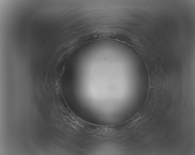 X0000067511109200604211743