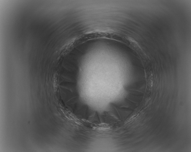 X0000067511110200604211743