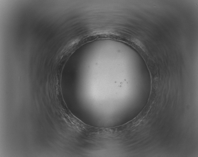 X0000067511111200604211744