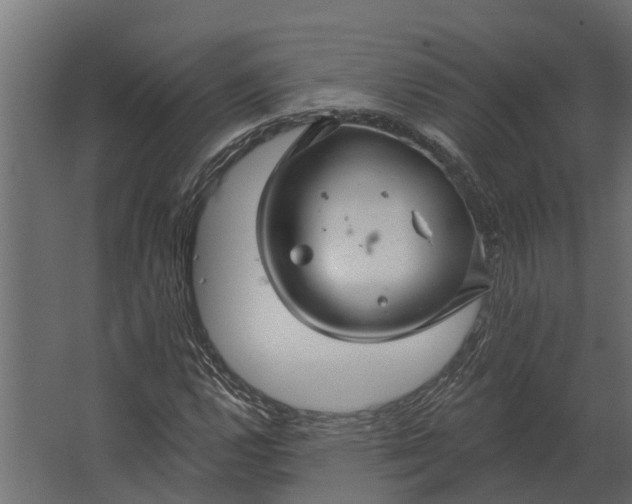 X0000067511112200604211744