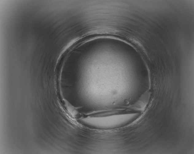 X0000067511114200604211744