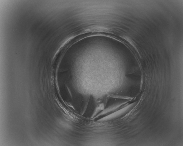 X0000067511115200604211744