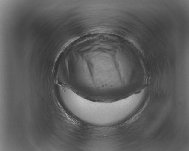 X0000067511117200604211744