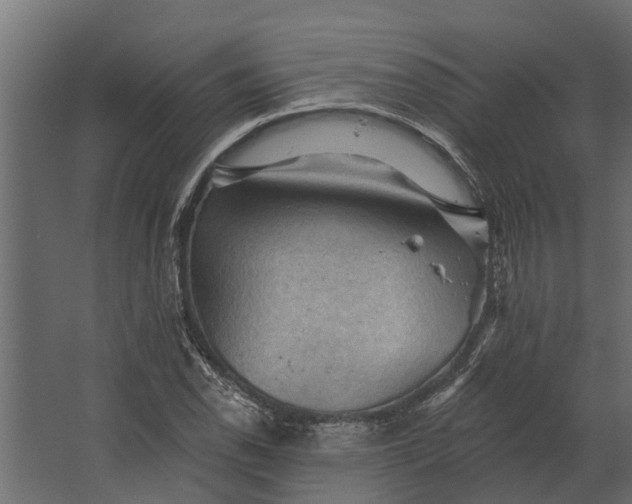 X0000067511118200604211744