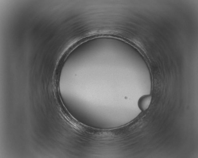 X0000067511119200604211744