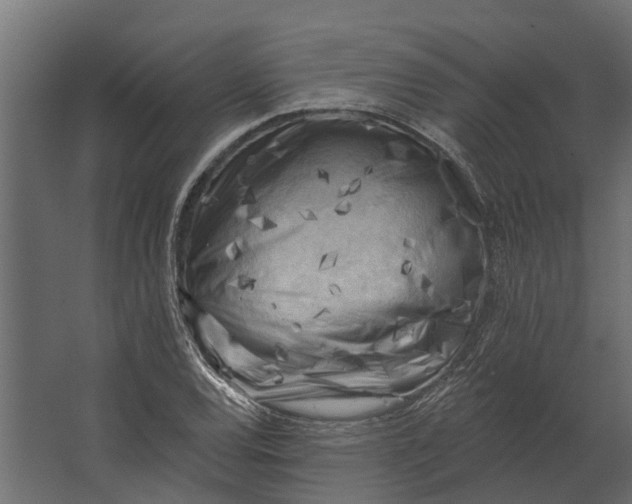 X0000067511120200604211744