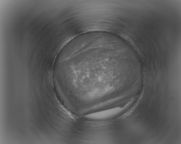 X0000067511121200604211744