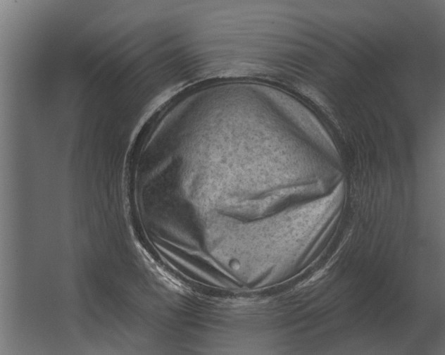 X0000067511122200604211744