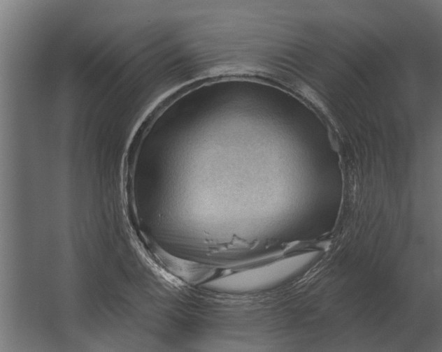 X0000067511124200604211744