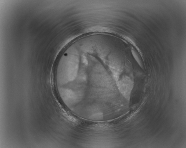 X0000067511125200604211744