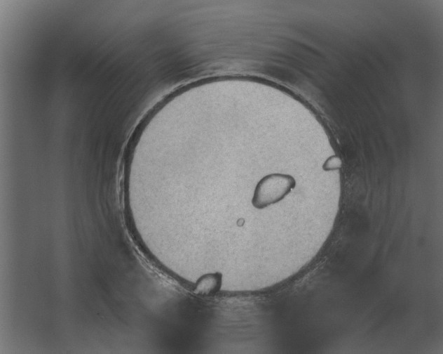 X0000067511126200604211744