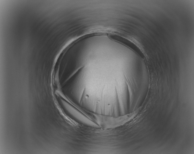 X0000067511128200604211744