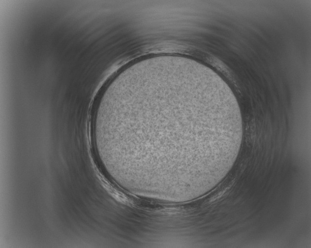 X0000067511130200604211744