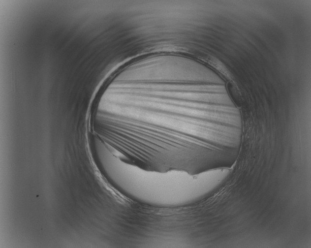 X0000067511132200604211744