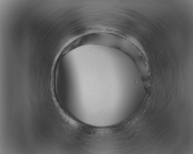 X0000067511136200604211744