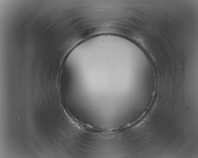 X0000067511137200604211744