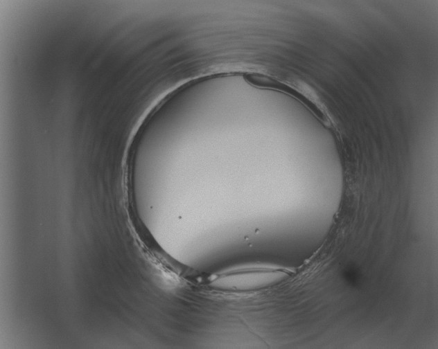 X0000067511140200604211744