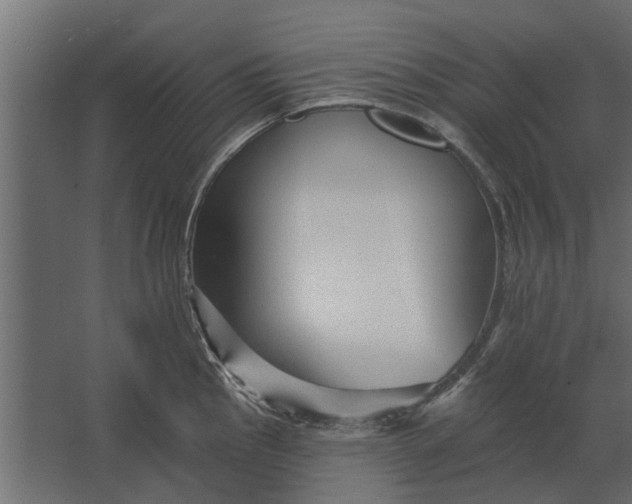 X0000067511145200604211744