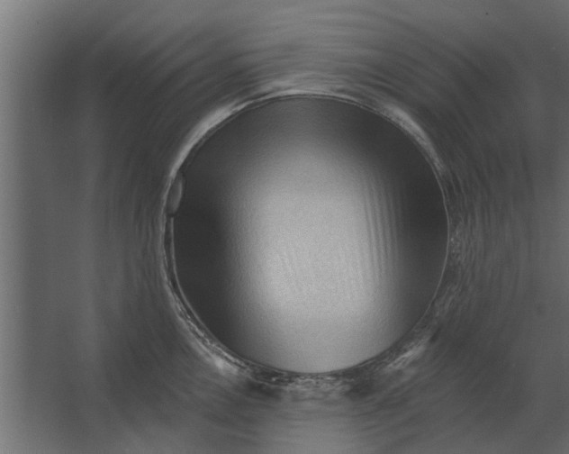 X0000067511146200604211744