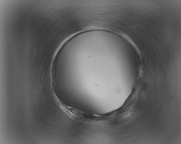 X0000067511148200604211744