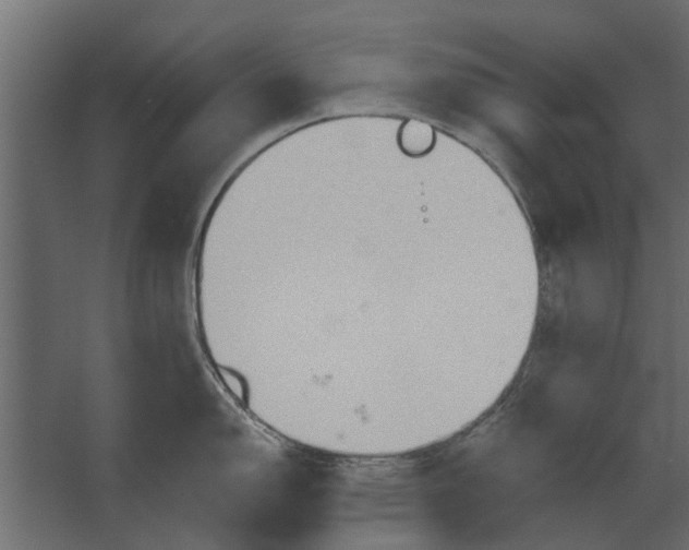 X0000067511150200604211744