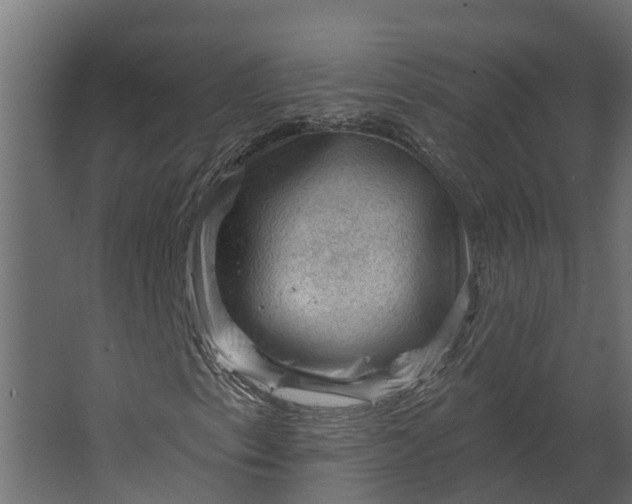 X0000067511153200604211743