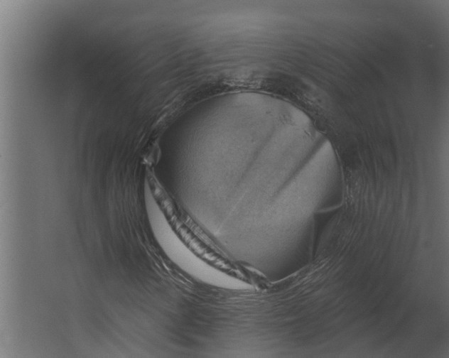 X0000067511154200604211743