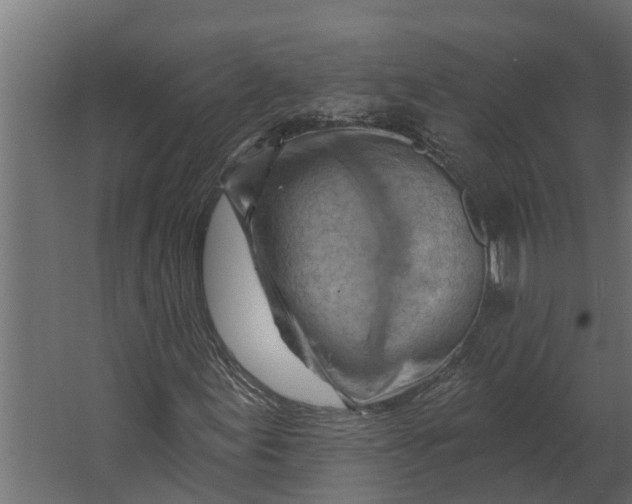 X0000067511155200604211743