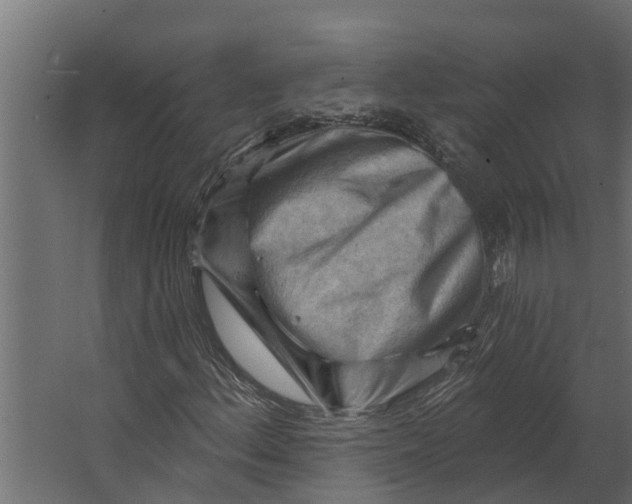 X0000067511156200604211743