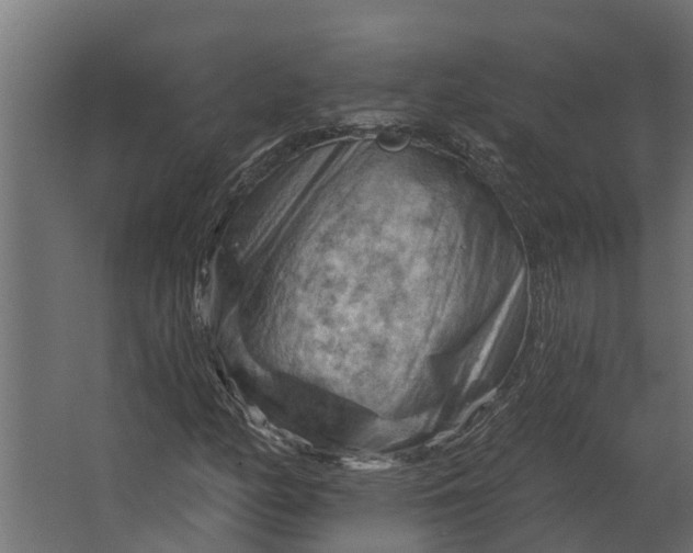 X0000067511158200604211743