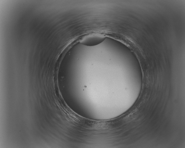 X0000067511162200604211743