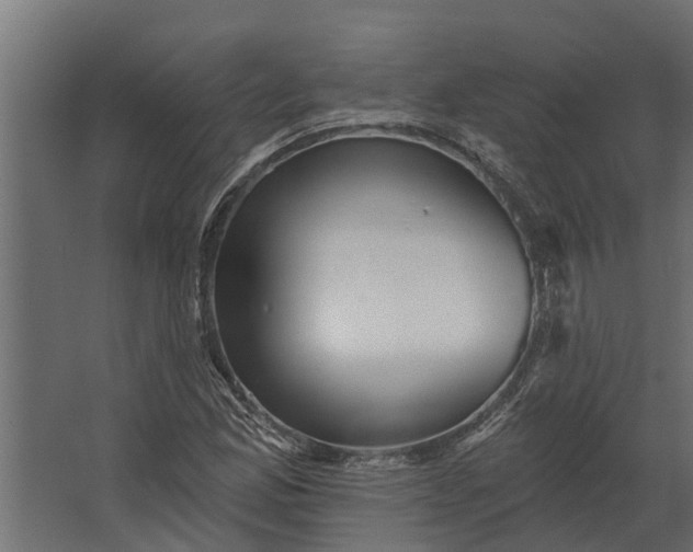 X0000067511165200604211743