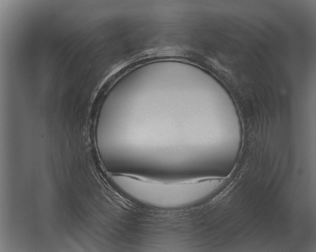 X0000067511166200604211743