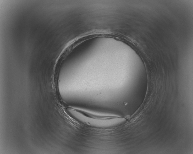 X0000067511168200604211743