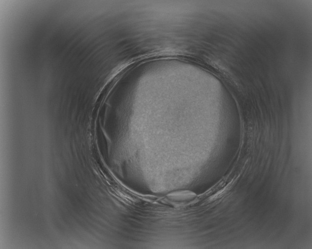 X0000067511170200604211743