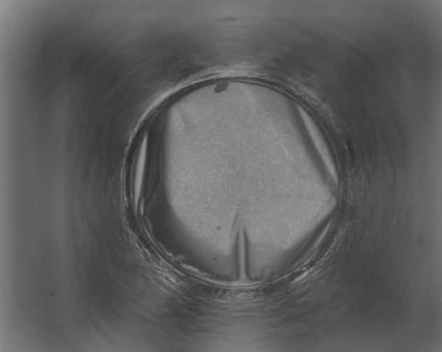 X0000067511174200604211743