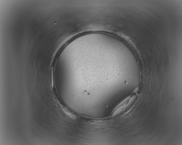 X0000067511175200604211743