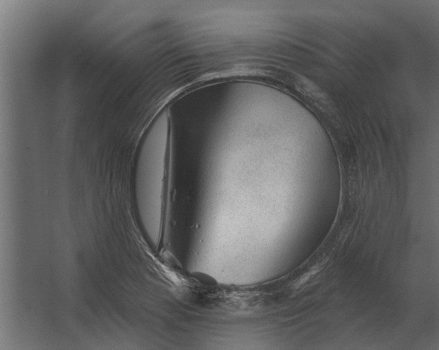 X0000067511177200604211743