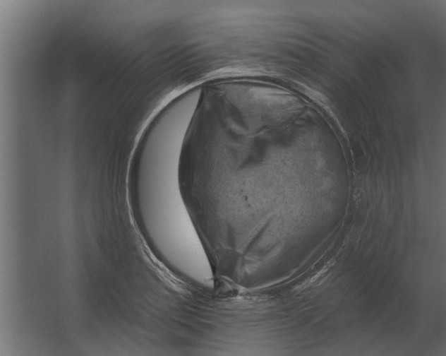 X0000067511179200604211743